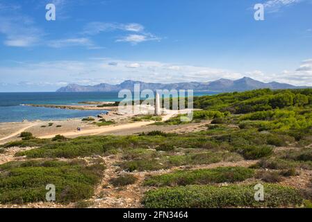 Naturschutzgebiet bei Can Picafort, Mallorca; Bucht von Alcudia Stockfoto