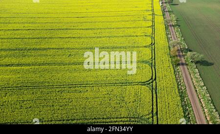 Luftaufnahme einer schönen Landschaft mit Landstraße, gelbem Rapsfeld und landwirtschaftlichem Feld. Foto aufgenommen in Südschweden. Stockfoto