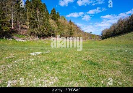 Blick auf die Landschaft auf ein Grastal und Michael's Beeches-Wälder im Arundel Park, Teil des South Downs National Park, im Frühling in West Sussex, Großbritannien. Stockfoto