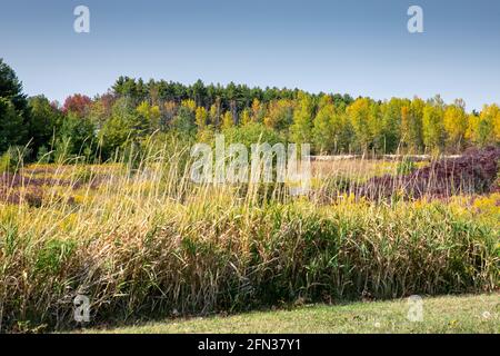 Vermont Herbst Stockfoto