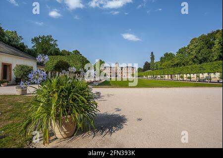 Blumen im Topf mit dem Hintergrund von Schloss Favorite Palace, Rastatt, Deutschland Stockfoto