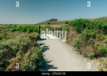 Ländliche Landschaft, Straße durch die Wildnis und Holzboardwalk zum Strand. Montana de Oro State Park, Kalifornien Stockfoto