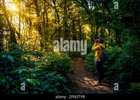 Professioneller Fotograf macht Fotos mit Kamera im Wald. Reisen, asien, Berg Stockfoto