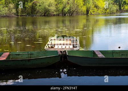 Herrlicher Erholungsort in Südungarn Alfold Region. Das Backwater des Flusses Theiß ist ein Naturschutzgebiet mit erstaunlich ruhigen natürlichen Orten. Stockfoto