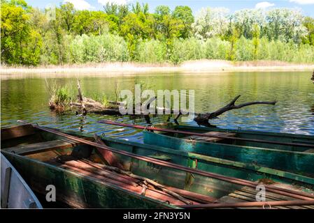 Herrlicher Erholungsort in Südungarn Alfold Region. Das Backwater des Flusses Theiß ist ein Naturschutzgebiet mit erstaunlich ruhigen natürlichen Orten. Stockfoto