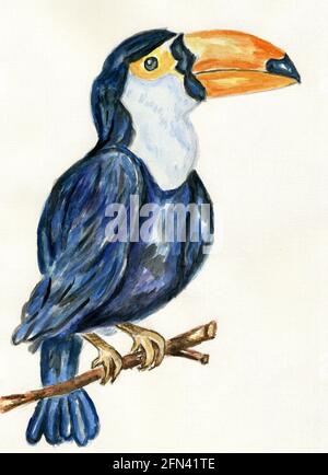 Cartoon Tukan Vogel, tropische Vogel handgezeichnete Illustration. Stockfoto