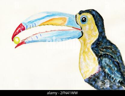 Cartoon Tukan Vogel, tropische Vogel handgezeichnete Illustration. Stockfoto