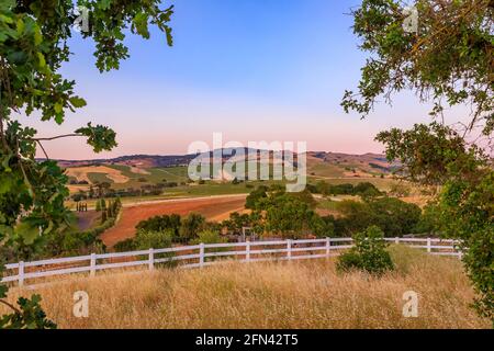 Landschaft mit Hügeln und Tälern bei Sonnenuntergang auf einem Weinberg im Frühjahr in Napa Valley, Kalifornien, USA Stockfoto