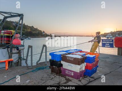 Crosshaven, Cork, Irland. Mai 2021. Der Fischer Billy Moriarty vom Trawler Celtic Sun bindet sein Boot bei Sonnenaufgang an den Pier in Crosshaven, Co. Cork, Irland. - Credit; David Creedon / Alamy Live News Stockfoto