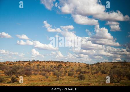 Wüstenlandschaft vom Ghan-Zug südlich von Alice Springs, Northern Territory, Australien Stockfoto