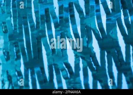 Industriell geschredderte Kartonverpackung in blauem Licht. Für das Recycling von Abfallstoffen, umweltfreundliche Verpackungen, abstrakte Formen, Zerkleinerungsbeweise. Stockfoto