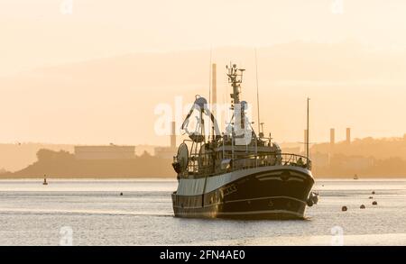 Crosshaven, Cork, Irland. Mai 2021. Trawler Buddy M kehrt früh nach Crosshaven, Co. Cork, von den Fischgründen zurück, um die Besatzung für Covid 19 impfen zu lassen. - Credit; David Creedon / Alamy Live News Stockfoto