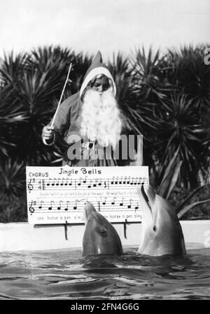 Weihnachten, Vater Weihnachten lehrt 2 Delfinen das berühmte Lied "Jingle Bells", 60er Jahre, ZUSÄTZLICHE RECHTE-CLEARANCE-INFO-NOT-AVAILABLE Stockfoto