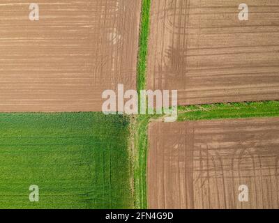 Landwirtschaftliches Feld gesehen von oben durch eine Drohne Stockfoto