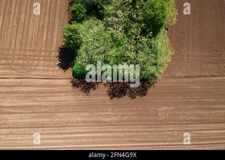 Landwirtschaftliches Feld gesehen von oben durch eine Drohne Stockfoto