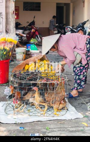 Vietnamesische Hündin, die ihre im Käfig gelagerten Hühner auf dem Bürgersteig zählt, Da Nang, Vietnam Stockfoto