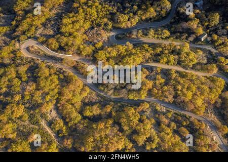 Luftaufnahme des Dorfes Bausen und der umliegenden Wälder im Herbst (Aran-Tal, Katalonien, Spanien, Pyrenäen) ESP: Vista aérea de Bausen y sus Bosques Stockfoto