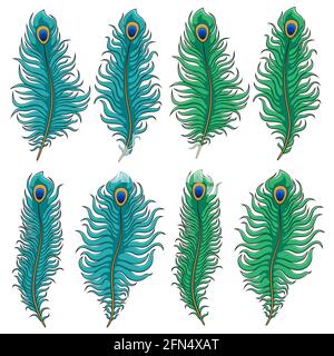 Set aus farbigen Pfauenfedern. Vektor isolierte Objekte auf Weiß. Stock Vektor