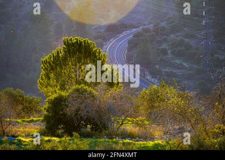 Israel, Sataf - antike landwirtschaftliche Stätte und Gärten auf judäischen Hügeln in der Nähe von Jerusalem in der Abenddämmerung war Sataf ein arabisches Dorf im Bezirk Jerusalem de Stockfoto