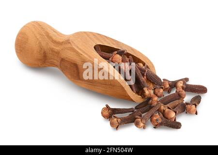 Trockene Gewürznelken in Holzlöffel isoliert auf weißem Hintergrund mit Clipping-Pfad und voller Schärfentiefe. Stockfoto