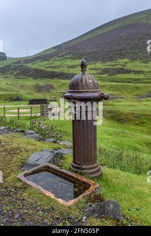 Alter rostiger gusseiserner Trinkbrunnen mit dekorativem Löwenkopf Muster und ein Keramikbecken, das bei Wanlockhead in den Boden gesunken ist In den Leadhills Stockfoto