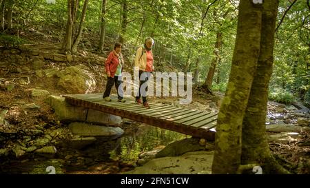 Spaziergang um die Quelle und den Bach Passavets, in Santa Fe de Montseny (Montseny, Katalonien, Spanien) ESP: Paseando en la fuente de Passavets, Montseny Stockfoto