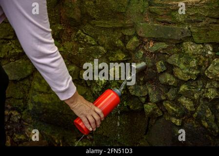 Spaziergang um die Quelle und den Bach Passavets, in Santa Fe de Montseny (Montseny, Katalonien, Spanien) ESP: Paseando en la fuente de Passavets, Montseny Stockfoto