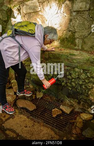 Spaziergang um die Quelle und den Bach Passavets, in Santa Fe de Montseny (Montseny, Katalonien, Spanien) ESP: Paseando en la fuente de Passavets, Montseny Stockfoto