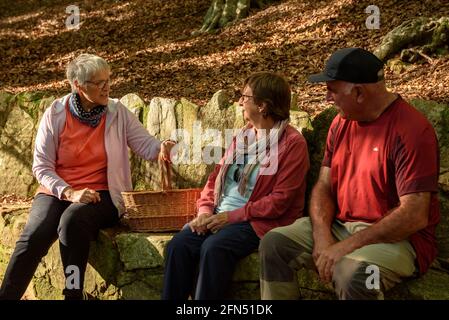 Spaziergang um die Quelle und den Bach Passavets, in Santa Fe de Montseny (Montseny, Katalonien, Spanien) ESP: Paseando en la fuente de Passavets, Montseny Stockfoto