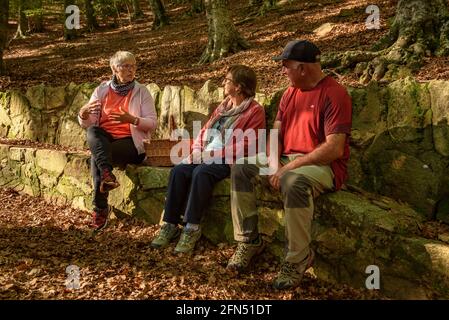 Spaziergang um die Quelle und den Bach Passavets, in Santa Fe de Montseny (Montseny, Katalonien, Spanien) ESP: Paseando en la fuente de Passavets, Montseny Stockfoto