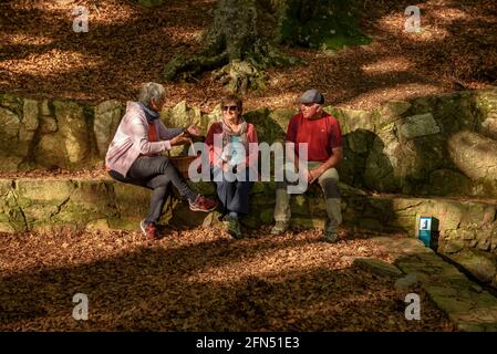 Spaziergang um die Quelle und den Bach Passavets, in Santa Fe de Montseny (Montseny, Katalonien, Spanien) ESP: Paseando en la fuente de Passavets, Montseny Stockfoto