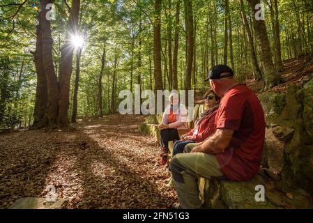 Spaziergang um die Quelle und den Bach Passavets, in Santa Fe de Montseny (Montseny, Katalonien, Spanien) ESP: Paseando en la fuente de Passavets, Montseny Stockfoto