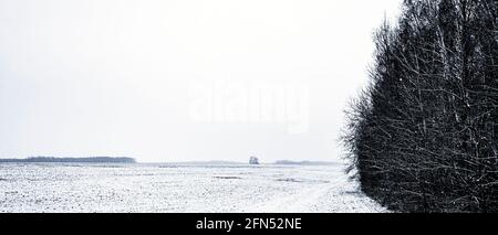 Ein schneebedecktes Feld und der Waldrand. Panorama-Winterlandschaft. Stockfoto