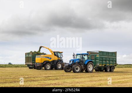 Riverstick, Cork, Irland. Mai 2021. Norman Draper sammelt Gras für Grubensilage auf seiner Farm außerhalb von Riverstick, Co. Cork, Irland. - Credit; David Creedon / Alamy Live News Stockfoto