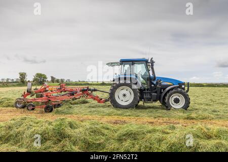 Riverstick, Cork, Irland. Mai 2021. Daniel Draper rackt neues Gras auf der Farm seines Vaters Norman bei Riverstick, Co. Cork, Irland. - Credit; David Creedon / Alamy Live News Stockfoto