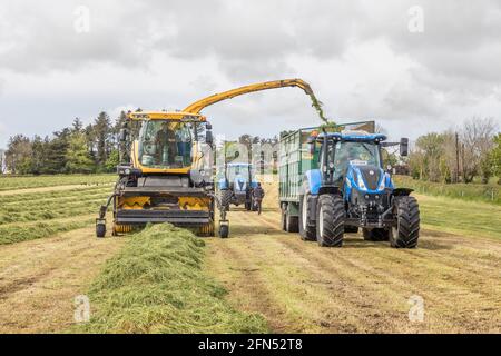 Riverstick, Cork, Irland. Mai 2021. Norman Draper sammelt Gras für Grubensilage auf seiner Farm außerhalb von Riverstick, Co. Cork, Irland. - Credit; David Creedon / Alamy Live News Stockfoto