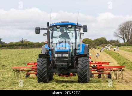 Riverstick, Cork, Irland. Mai 2021. Daniel Draper rackt neues Gras auf der Farm seines Vaters Norman bei Riverstick, Co. Cork, Irland. - Credit; David Creedon / Alamy Live News Stockfoto