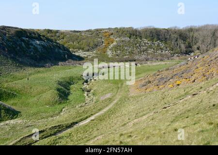 Nash Point in Llantwit Major, Südwales. Die hohen Klippen und Wege zum Strand bilden einen Teil des walisischen Küstenweges, ein Gebiet von außergewöhnlicher Schönheit Stockfoto