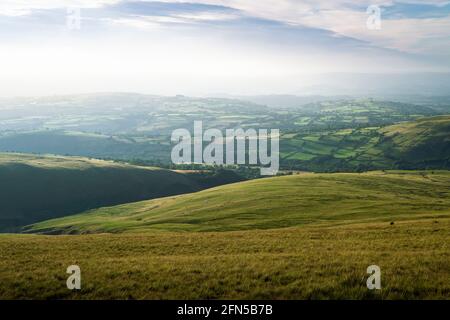 Die sanften Hügel von Carmarthenshire im Sommer von Waun Lefrith im Bannau Brycheiniog (Brecon Beacons) National Park, Südwales. Stockfoto