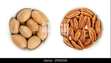 Pekannüsse, geschält und ungeschält, in weißen Schalen. Ganze Pekannüsse und Pekannücken, Samen und essbare Nüsse von Carya illinoinensis, als Snack verwendet. Stockfoto
