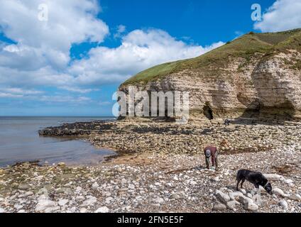 Flamborough, East Yorkshire, Großbritannien, 12. Mai 2021 - EIN Mann und ein Hund an einem Kiesstrand mit Klippen im Hintergrund an einem sonnigen Tag mit blauem Himmel Stockfoto