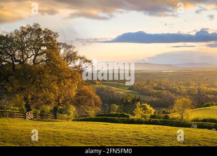 Blick über Saintbury in Richtung Bredon Hill, Cotswolds, Gloucestershire, England. Stockfoto