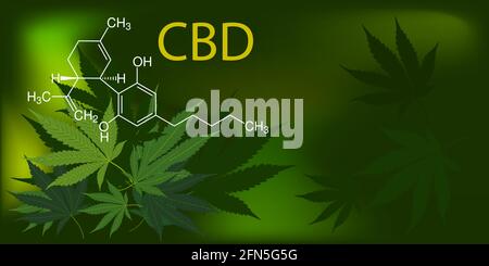 CBD, chemische Formel von Cannabidiol auf grünen medizinischen Marihuanablättern auf dunklem Vektorhintergrund. Schönes Banner mit grünen Cannabisblüten mit Kopie Stock Vektor