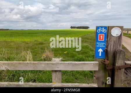 Sustrans National Cycle Route 1 Schild, Dunstanburgh, Northumberland, Großbritannien. Stockfoto