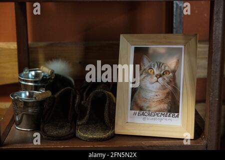 Auf einem Regal steht das Porträt einer Katze im Rahmen Stockfoto