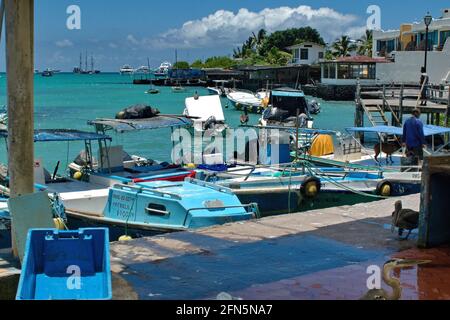 Boote auf dem Fischmarkt in Puerto Ayora, Insel Santa Cruz, Galapagos, Ecuador, festgemacht Stockfoto