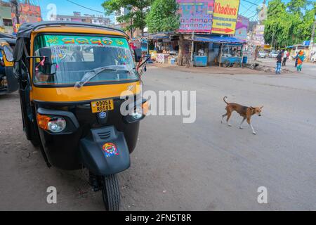 Cuttack, Odisha, Indien - 24. Juli 2019 : Blick auf die Straße der Stadt Cuttack, eine Autorikscha wird neben der Straße geparkt, während ein Straßenhund vorbeifährt. Stockfoto