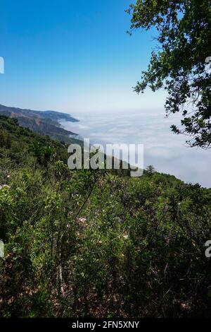 Ein Blick vom braunen Rindenpfad im Julia Pfeiffer Burns State Park mit Blick auf die bewölkte Big Sur Küste in Kalifornien, USA Stockfoto