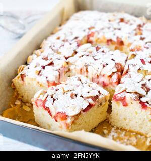 Hausgemachter Kuchen - Joghurtkuchen mit Rhabarber, bestreut mit Mandelflocken und Puderzucker. Stockfoto