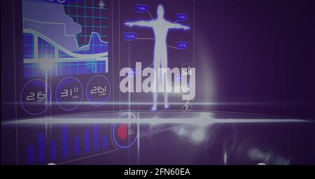 Erstellung von Statistiken, Verarbeitung von menschlichem Körper und medizinischen Daten auf dem Bildschirm Stockfoto